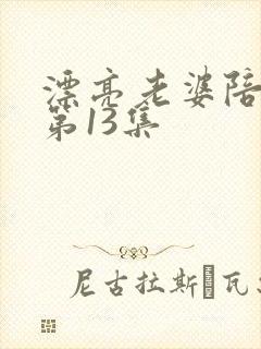 漂亮老婆陪过年第13集