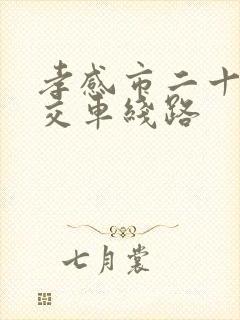 孝感市二十路公交车线路