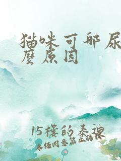 猫咪可哪尿是什么原因