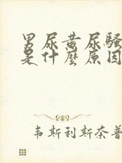 男尿黄尿骚味重是什么原因