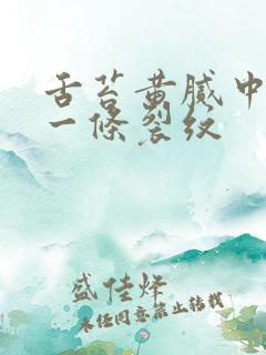 舌苔黄腻中间有一条裂纹