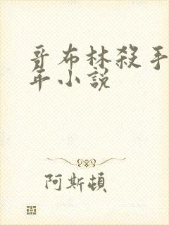 哥布林杀手第一年小说