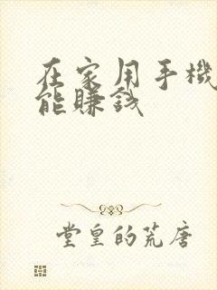 在家用手机怎么能赚钱