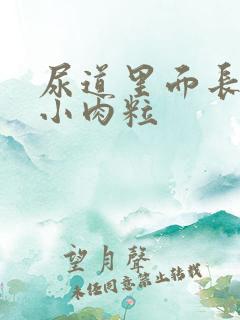 尿道里面长了个小肉粒