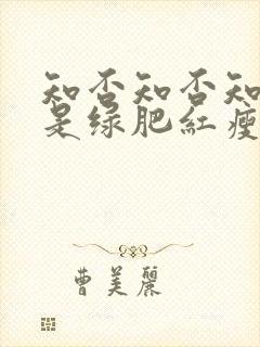 知否知否知否应是绿肥红瘦曼娘