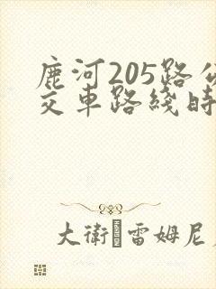 鹿河205路公交车路线时间表