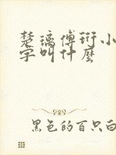 楚璃傅珩小说名字叫什么