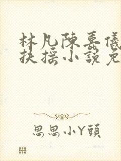 林凡陈嘉仪袖手扶摇小说免费阅读