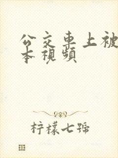 公交车上被躁日本视频