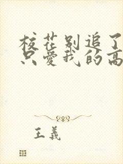 校花别追了,我只爱我的高冷女神