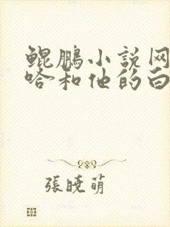 鲲鹏小说网站二哈和他的白猫师尊