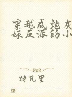 穿越成炮灰我怒嫁反派的小说