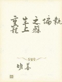 重生之偏执老公宠上瘾