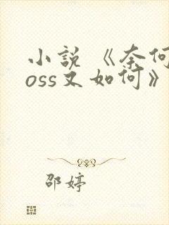 小说 《奈何boss又如何》