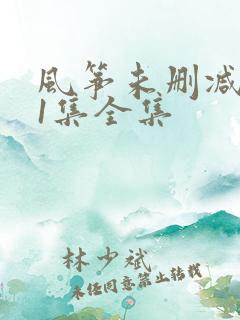 风筝未删减版51集全集