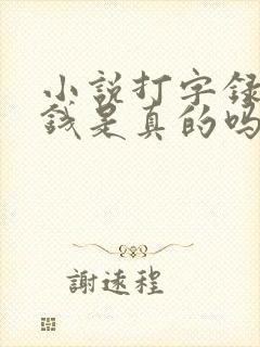 小说打字录入赚钱是真的吗