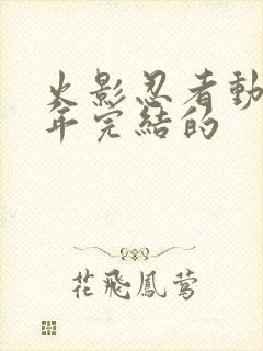 火影忍者动漫哪年完结的