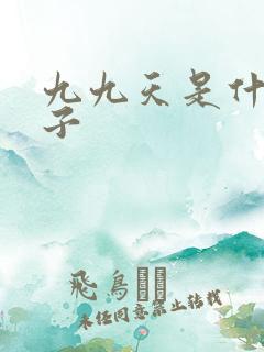 九九天是什么日子