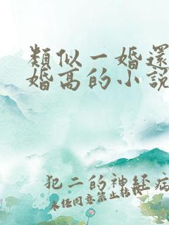 类似一婚还比一婚高的小说高干文