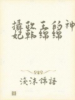 摄政王的神医狂妃韩绵绵