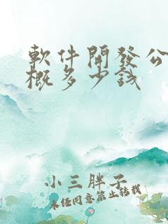 软件开发公司大概多少钱