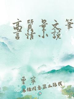 高质量文笔好的言情小说