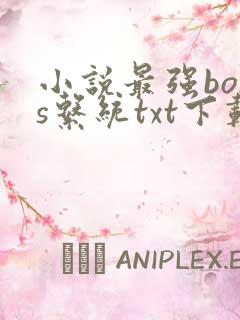 小说最强boss系统txt下载