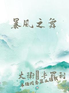 暴风之舞
