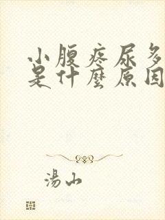 小腹疼尿多尿疼是什么原因