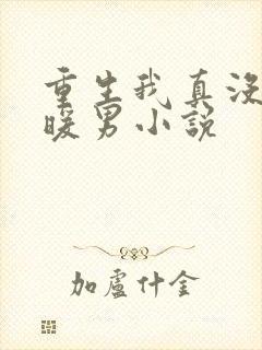 重生我真没想当暖男小说