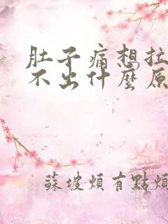 肚子痛想拉又拉不出什么原因