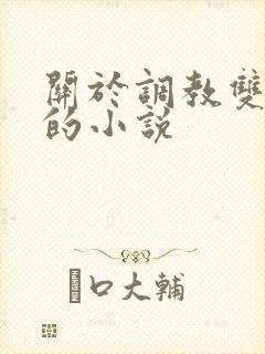 关于调教双性人的小说