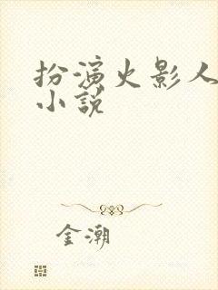 扮演火影人物的小说