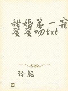 甜婚第一宠总裁蜜蜜吻txt