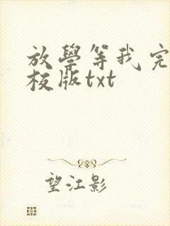 放学等我完整精校版txt