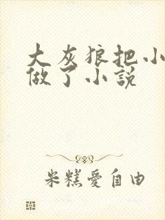 大灰狼把小红帽做了小说