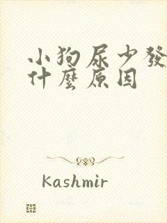 小狗尿少发黄是什么原因