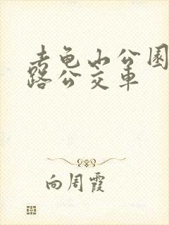 去龟山公园坐几路公交车