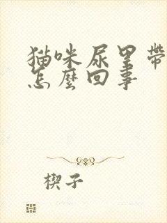 猫咪尿里带血是怎么回事