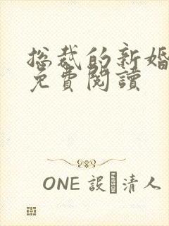 总裁的新婚秘爱免费阅读