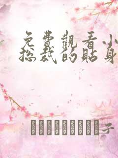 免费观看小说女总裁的贴身兵王