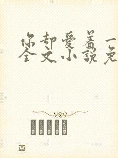 你却爱着一个他全文小说免费阅读未删减