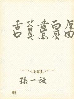 舌苔黄白厚口苦口臭怎么回事