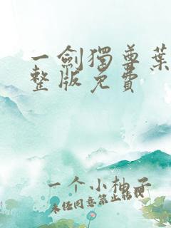 一剑独尊叶玄完整版免费