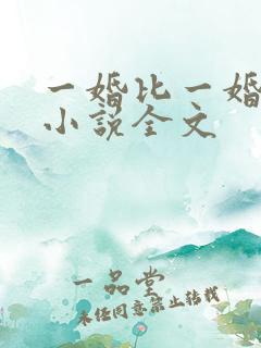 一婚比一婚还高小说全文
