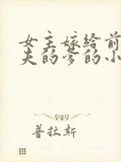 女主嫁给前世丈夫的爹的小说