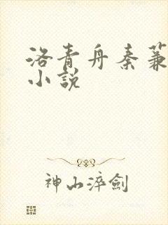 洛青舟秦蒹葭的小说