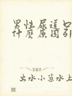 男性尿道口疼是什么原因引起的