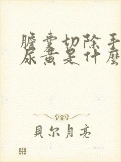 胆囊切除手术后尿黄是什么原因