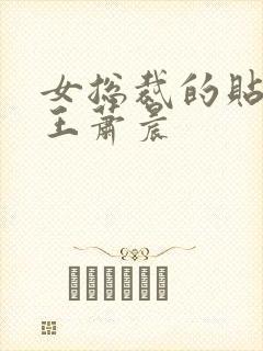 女总裁的贴身兵王萧晨